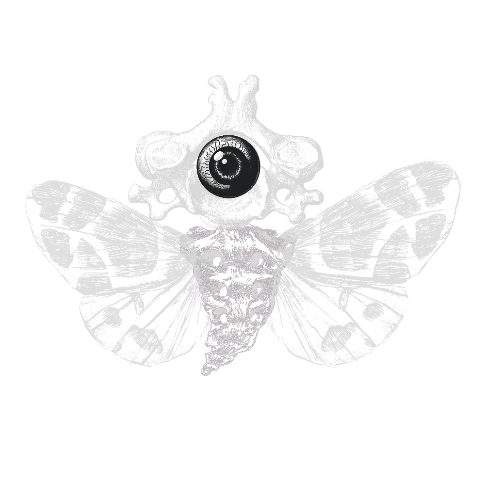 Logo White